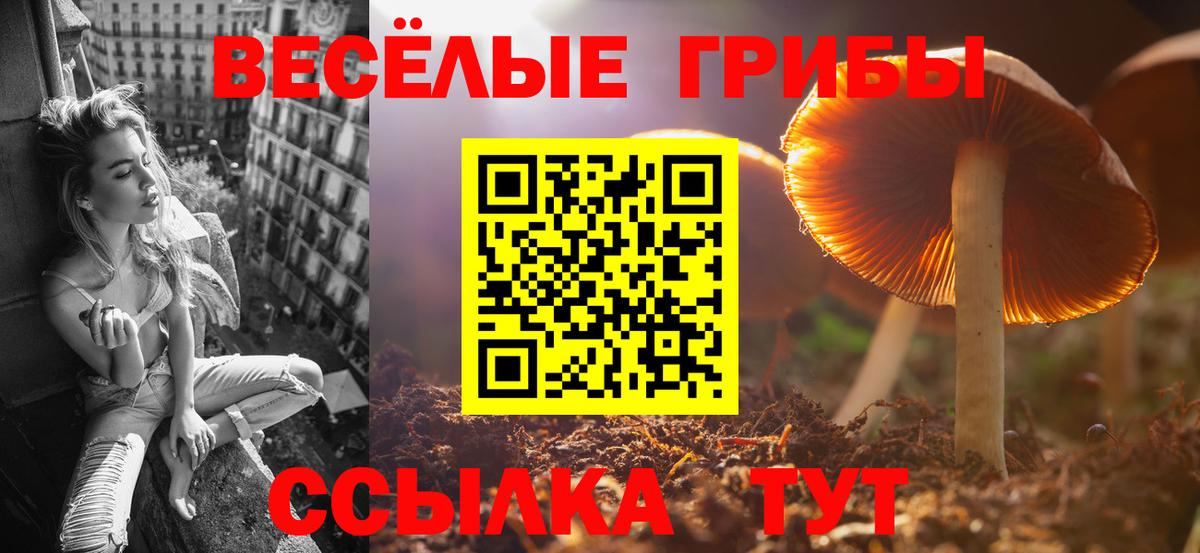 Псилоцибиновые грибы GOLDEN TEACHER Петропавловск-Камчатский